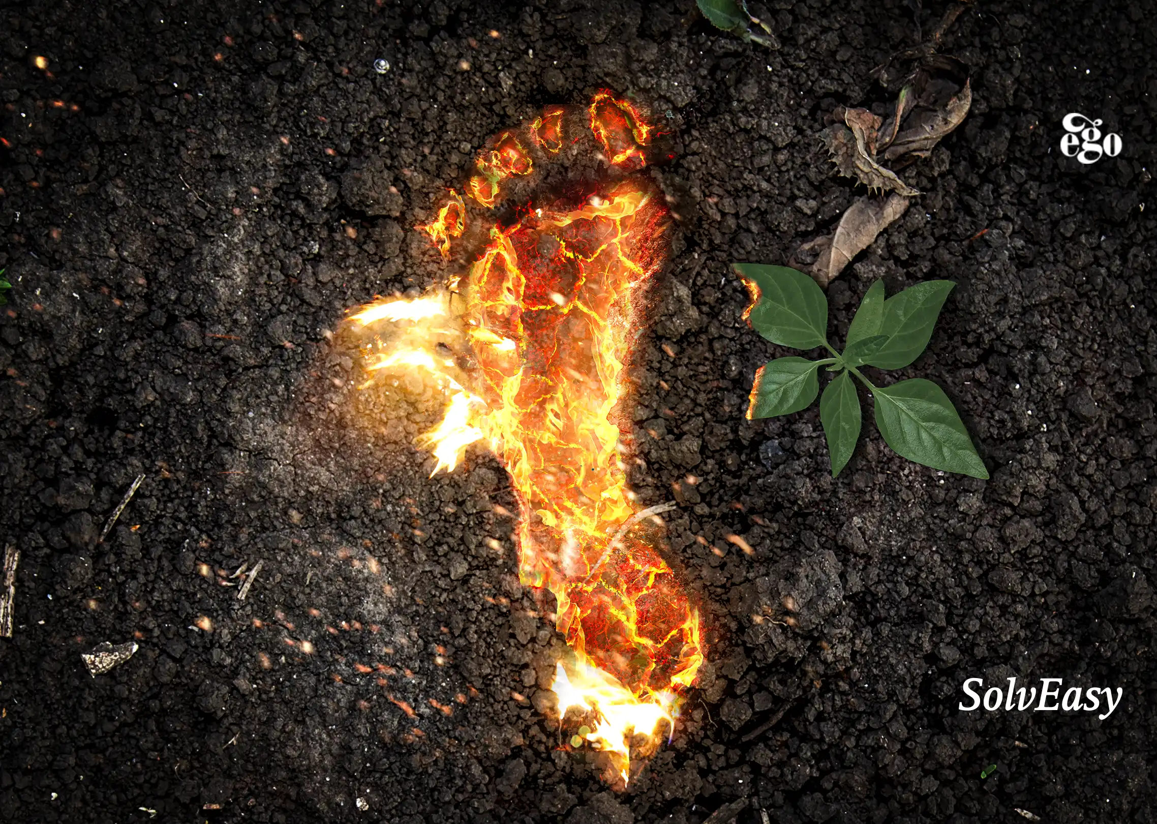 website Desktop firefeet 01A