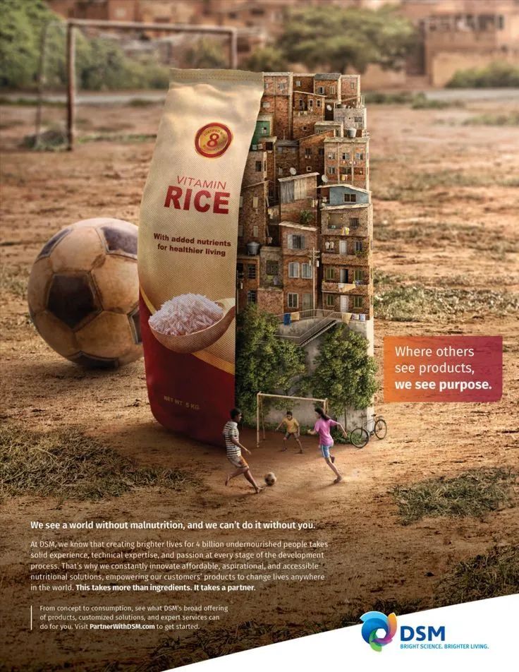 DSM vitamin rice