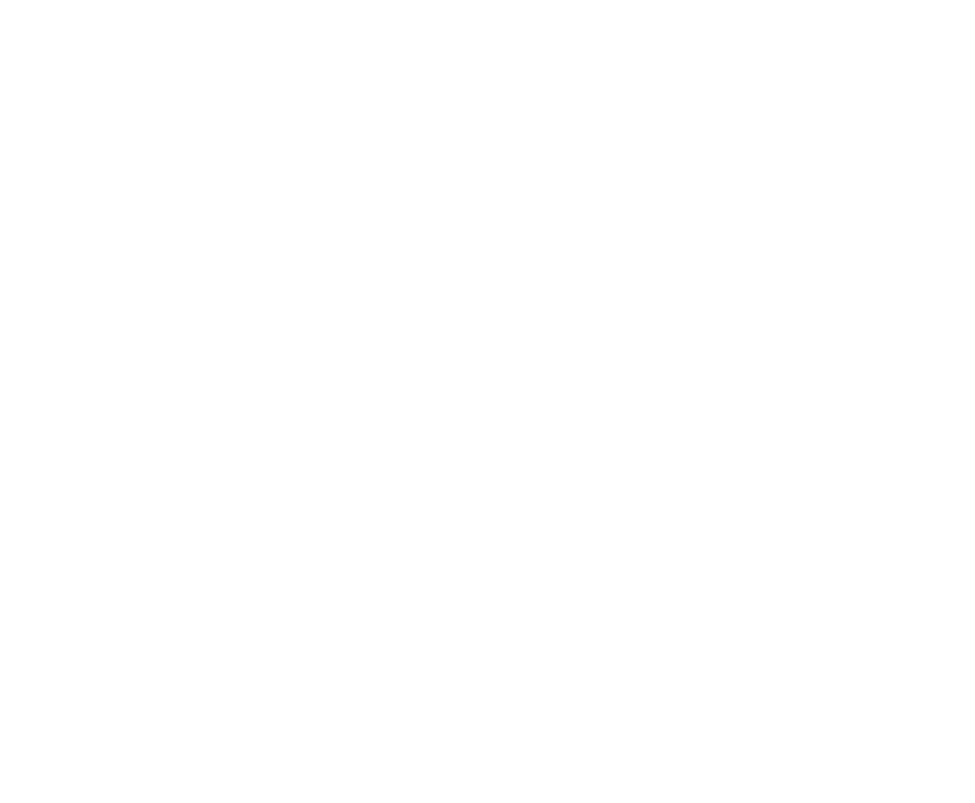 Website Logos 02A3 SFI